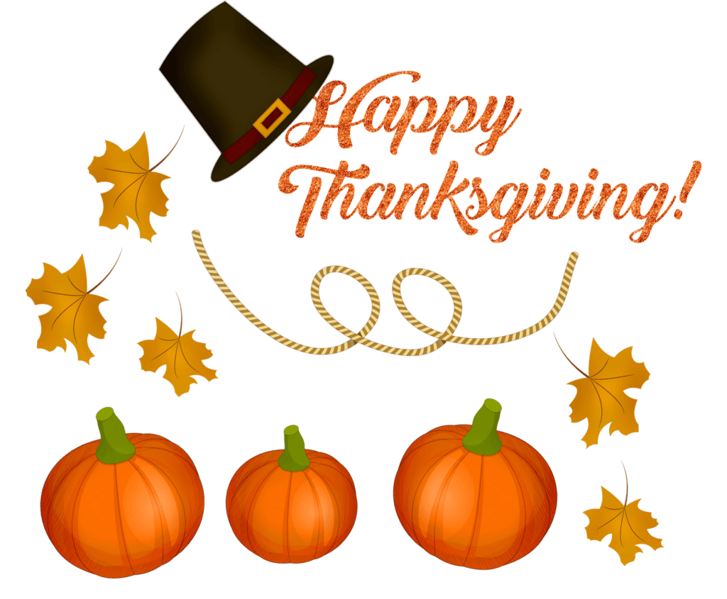 Why We're Thankful to Live in Tampa Bay: Holiday Happenings 2019